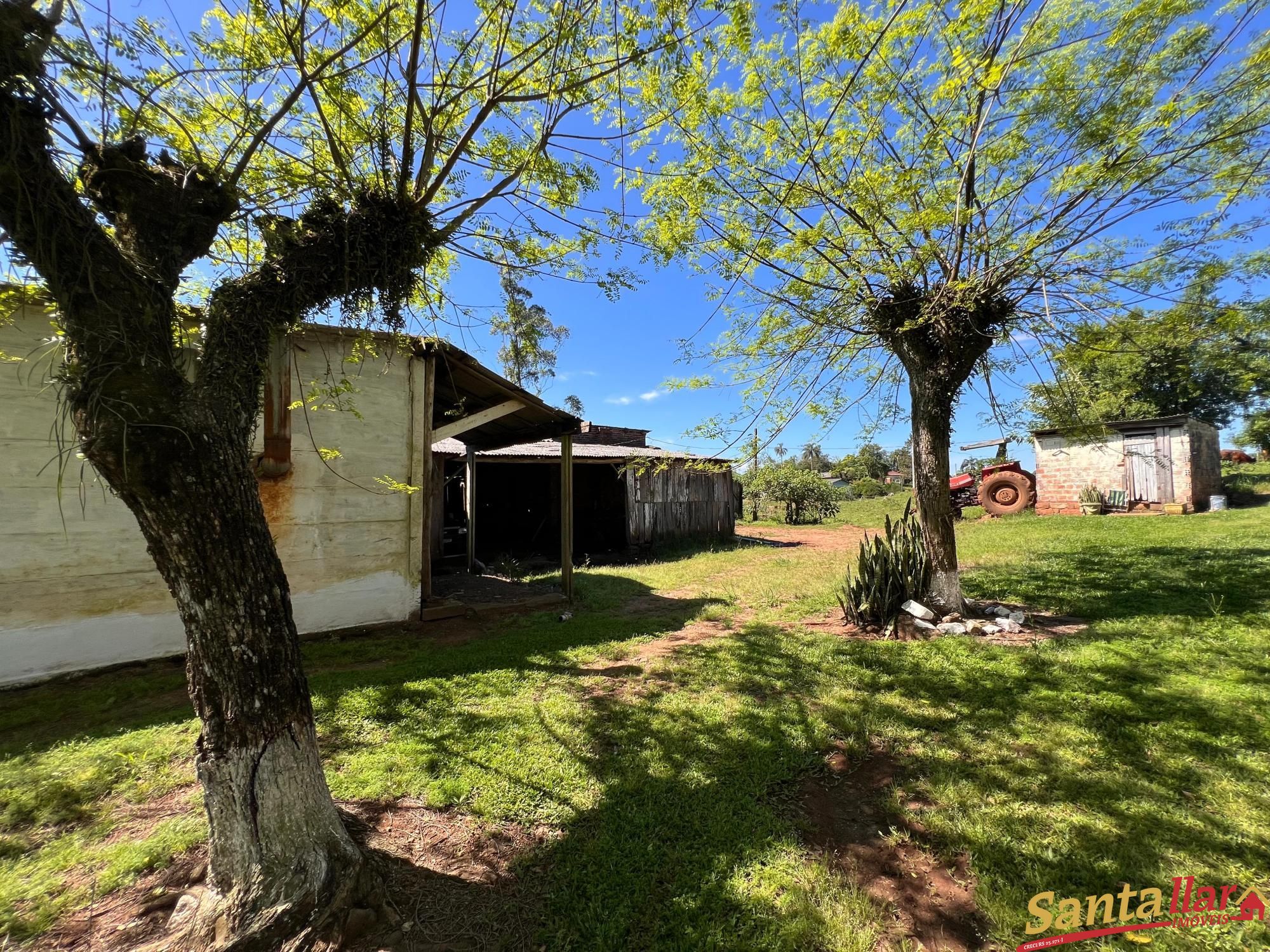 Fazenda à venda com 3 quartos, 238m² - Foto 6