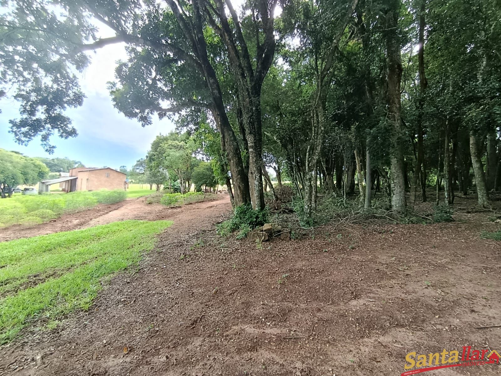 Chácara, 4 hectares - Foto 1