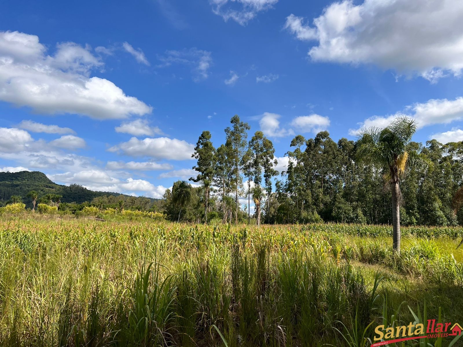 Fazenda à venda, 13000m² - Foto 11