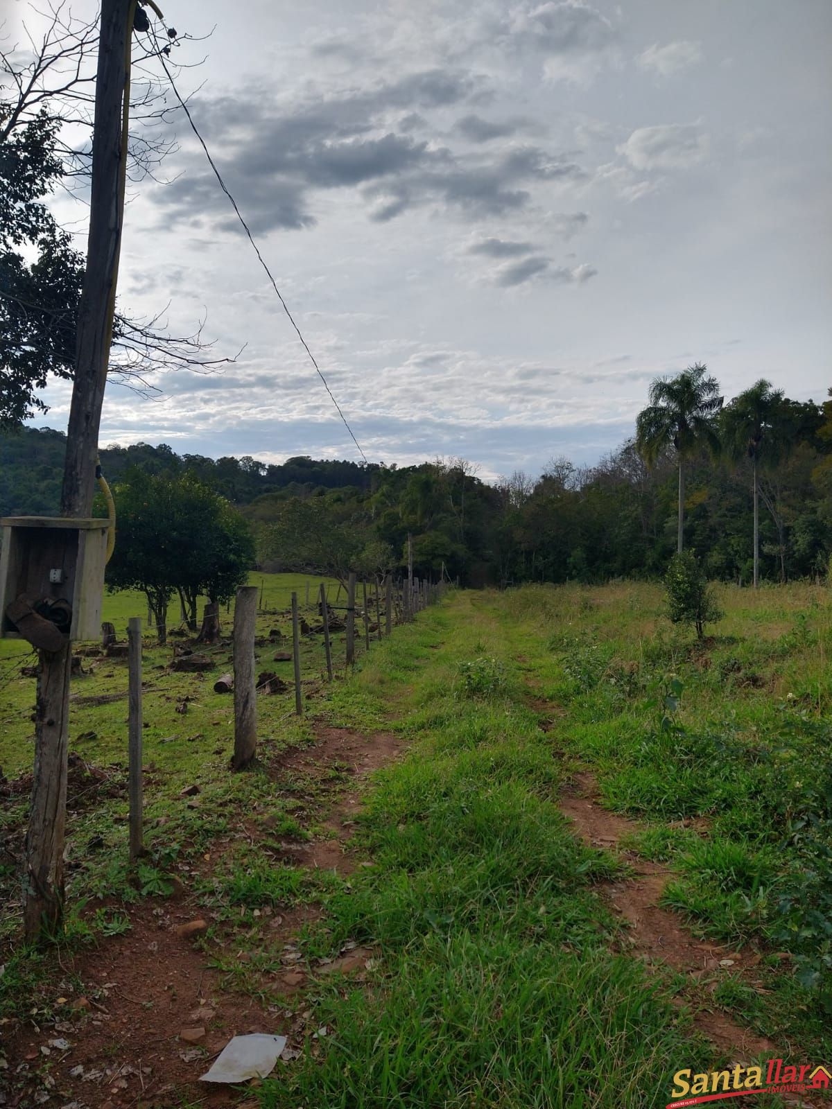 Fazenda, 15 hectares - Foto 13