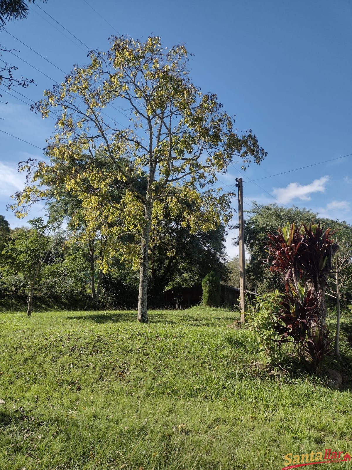 Fazenda à venda com 2 quartos, 335m² - Foto 23