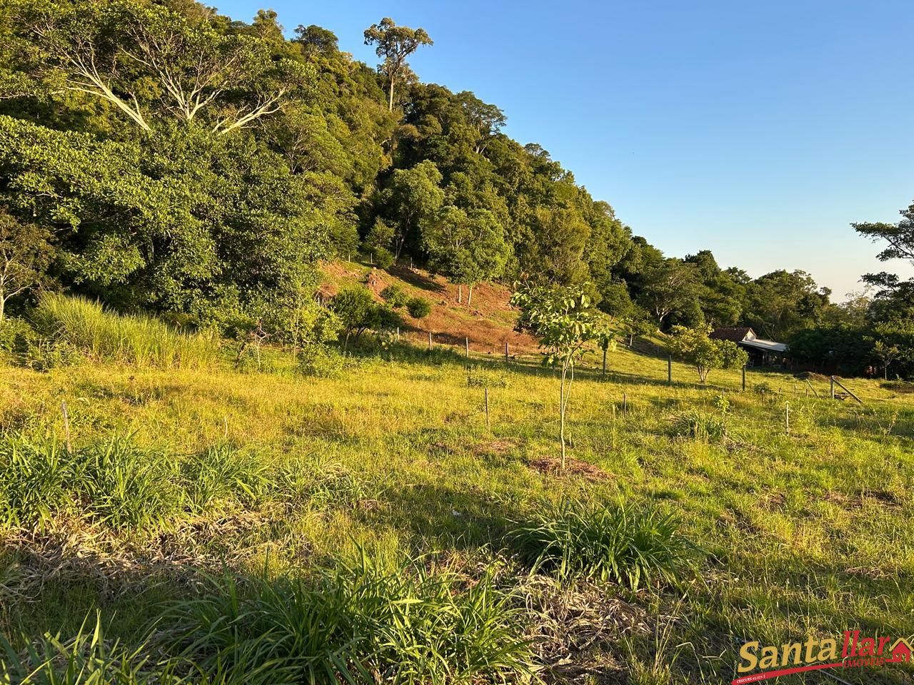 Sítio, 2 quartos, 2 hectares - Foto 8