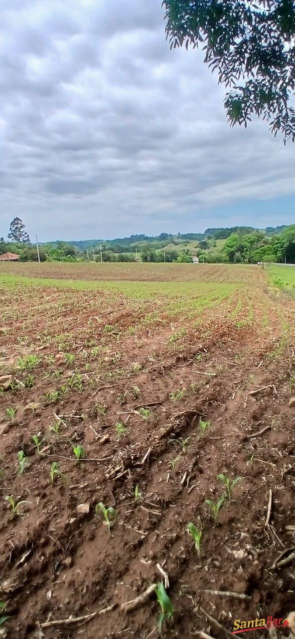Sítio, 7 hectares - Foto 28