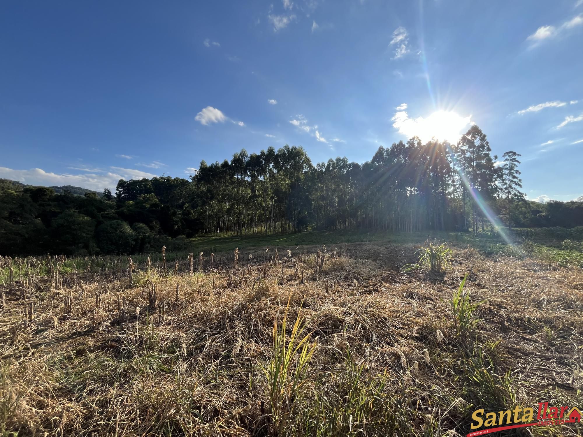 Fazenda à venda com 2 quartos, 96000m² - Foto 19