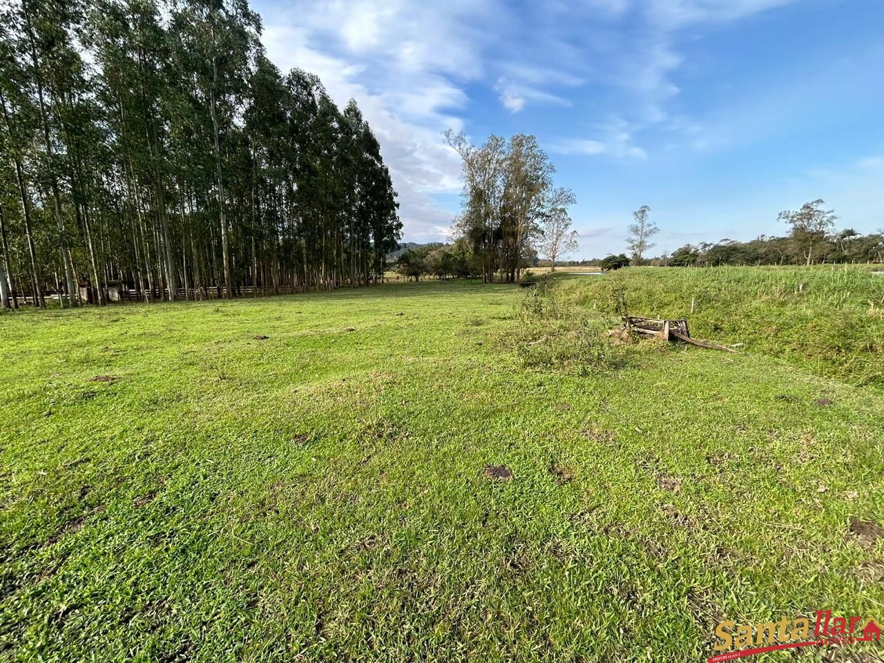 Fazenda à venda com 1 quarto, 60m² - Foto 8