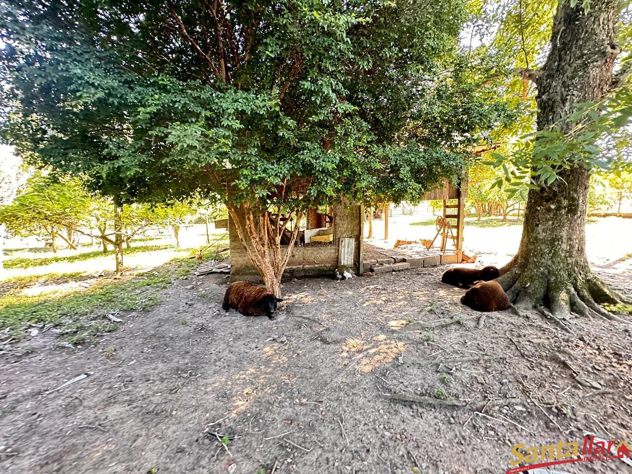 Fazenda/sítio/chácara/haras com 3 Dormitórios à venda, 129 m² por R$ 650.000,00 Fazenda/sítio/chácara/haras com 3 Dormitórios à venda, 129 m² por R$ 650.000,00