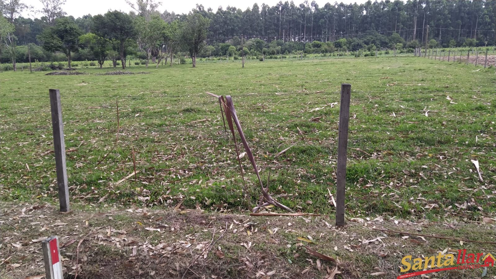 Fazenda à venda com 3 quartos, 200m² - Foto 34