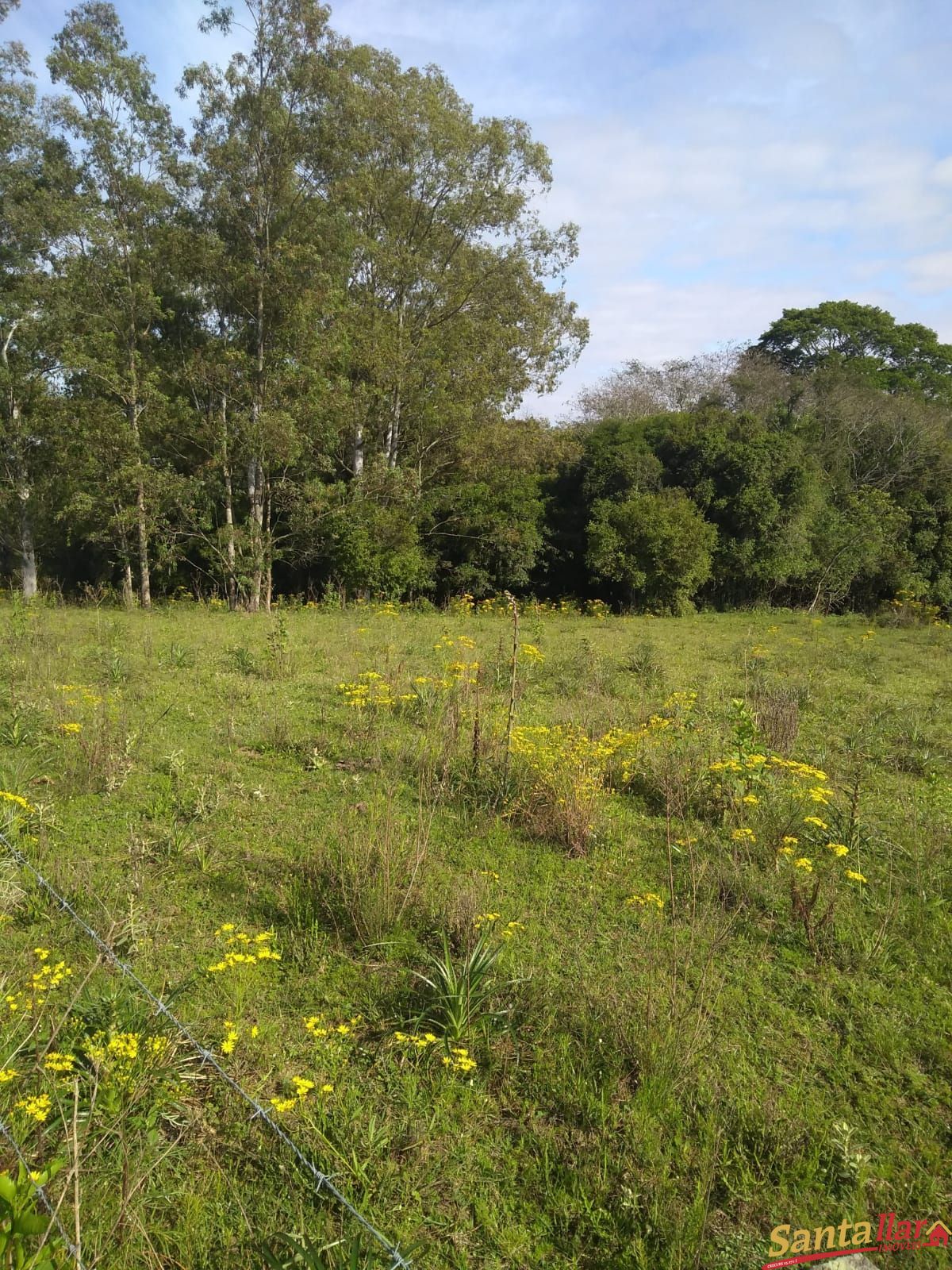 Fazenda à venda com 3 quartos, 833330000m² - Foto 23