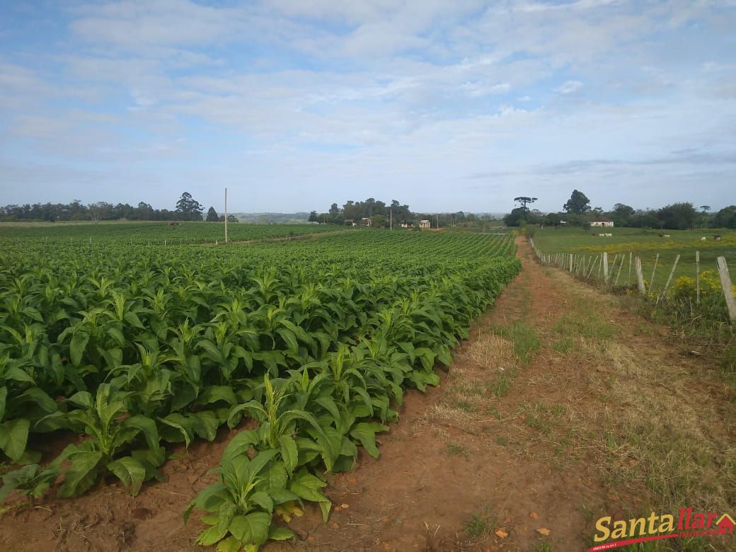 Fazenda à venda com 3 quartos, 833330000m² - Foto 14