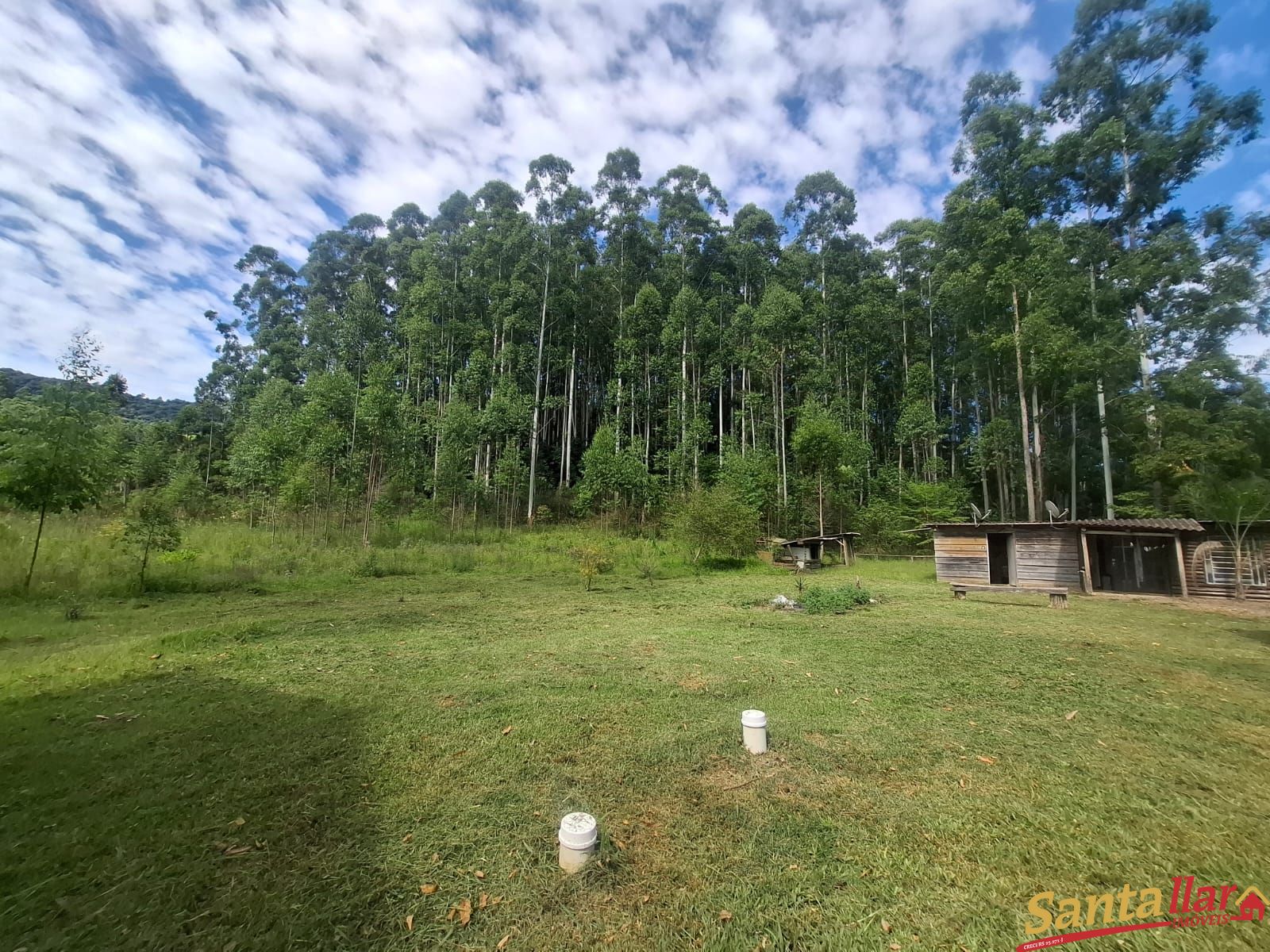 Sítio, 2 quartos, 2 hectares - Foto 13