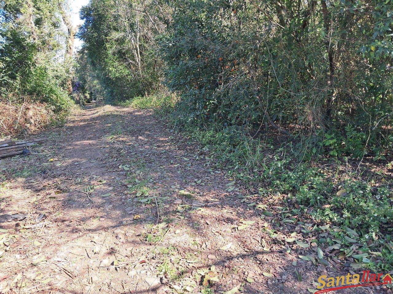 Chácara, 10 hectares - Foto 12