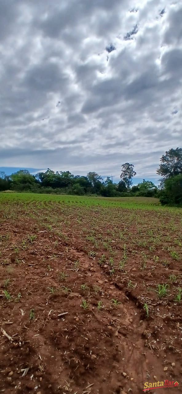 Sítio, 7 hectares - Foto 21