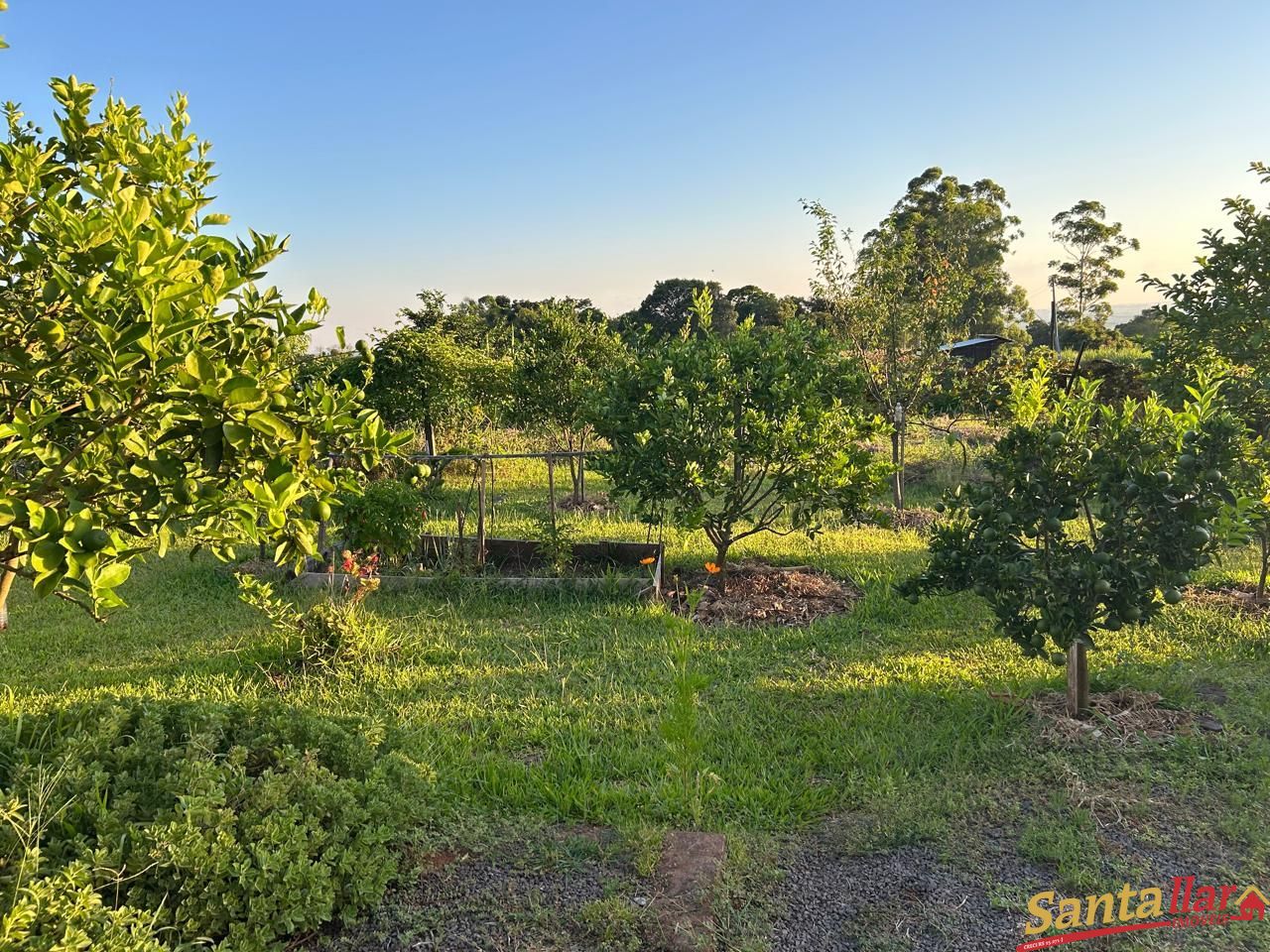 Sítio, 2 quartos, 2 hectares - Foto 4