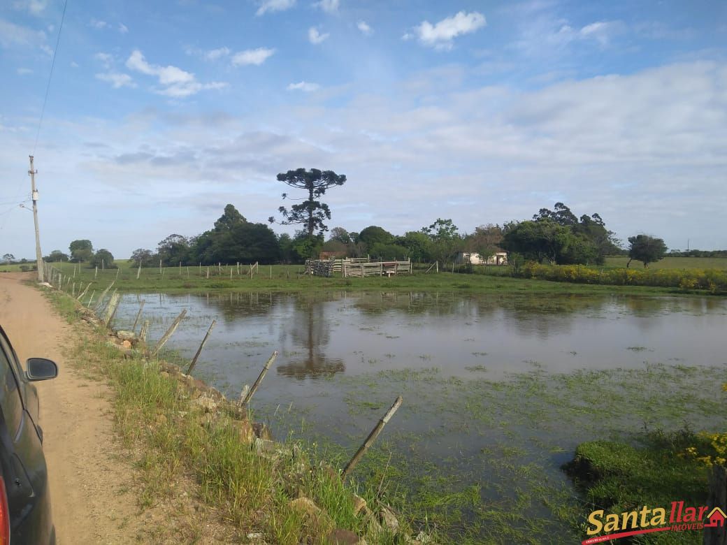 Fazenda à venda com 3 quartos, 833330000m² - Foto 8