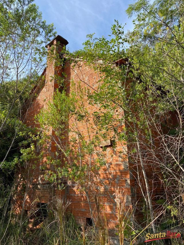Chácara, 45 hectares - Foto 10