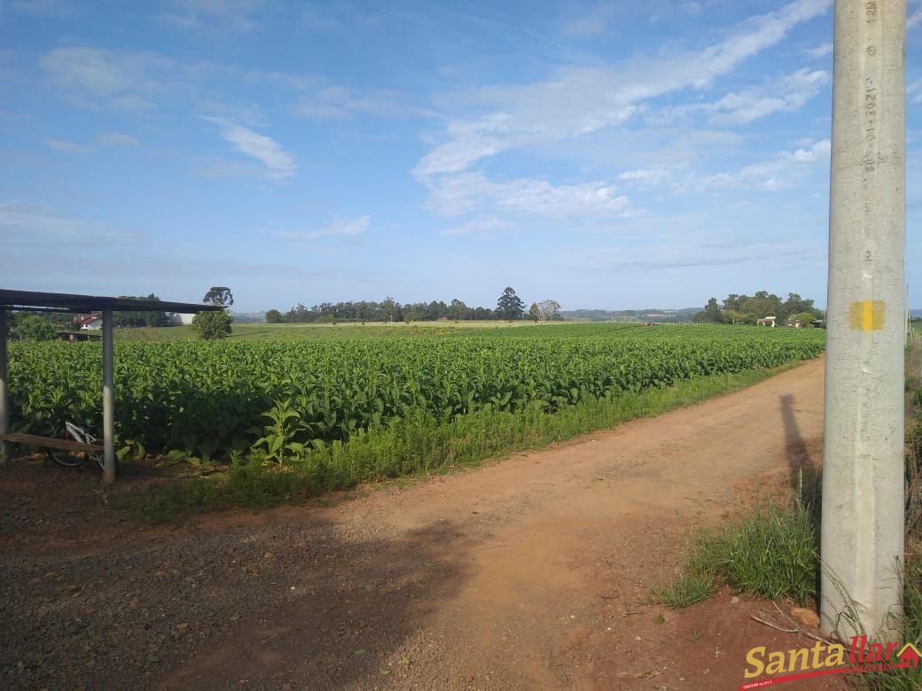 Fazenda à venda com 3 quartos, 833330000m² - Foto 18