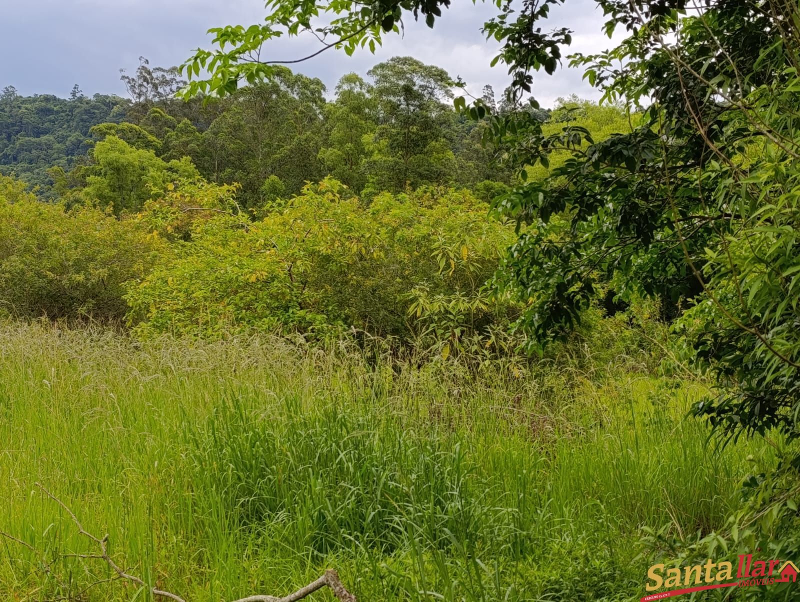 Sítio, 3 quartos, 3 hectares - Foto 12