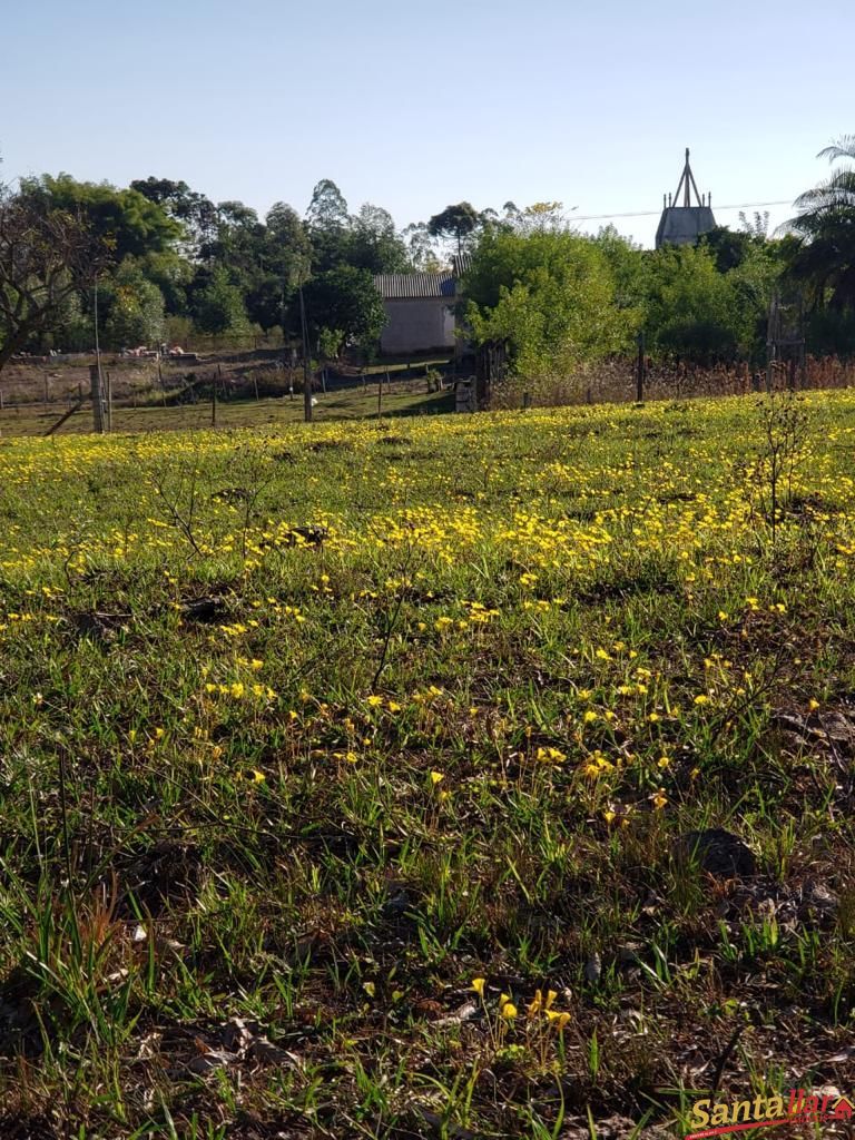 Fazenda à venda com 3 quartos, 130m² - Foto 19