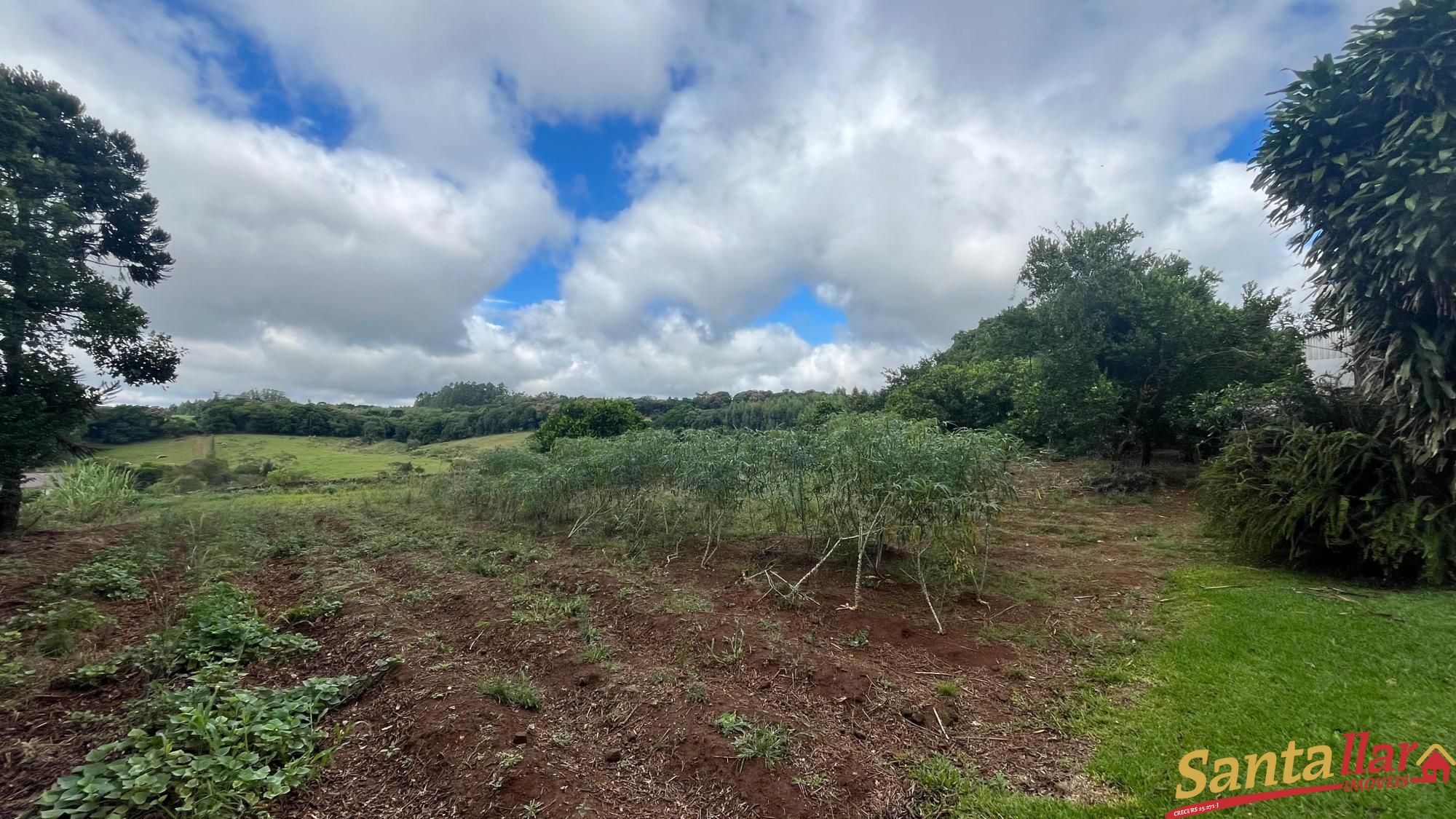 Chácara, 4 quartos, 10000 m² - Foto 14