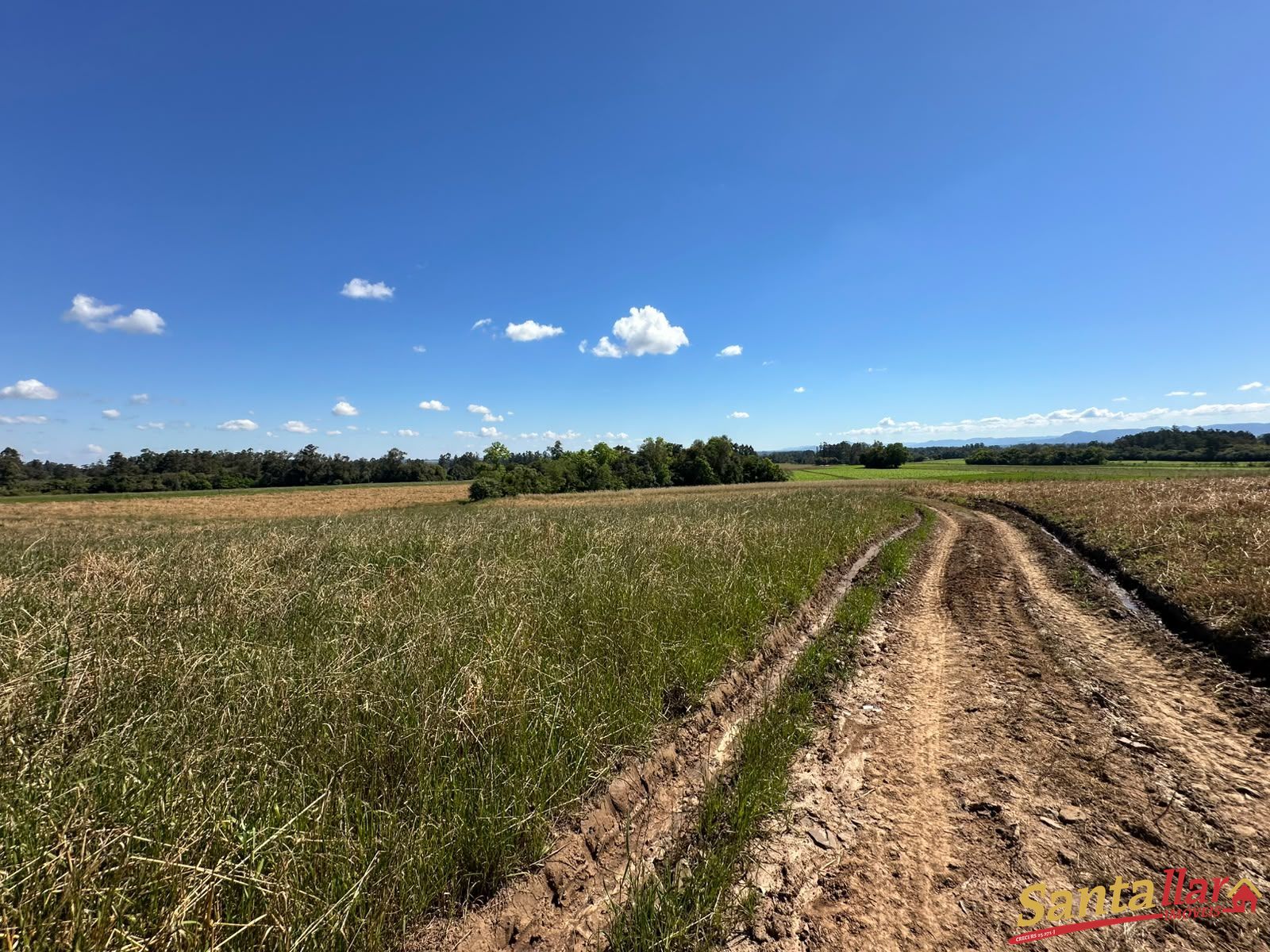 Chácara, 10 hectares - Foto 10