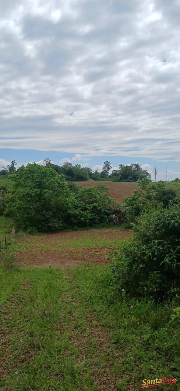 Sítio, 7 hectares - Foto 15