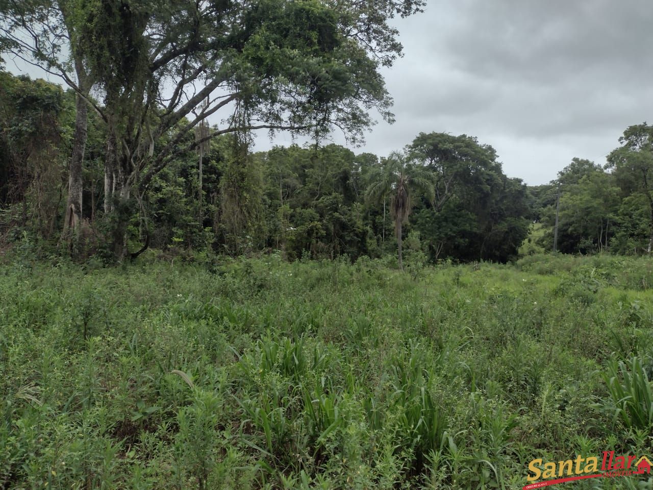 Fazenda/stio/chcara/haras  venda  no Zona Rural - Santa Cruz do Sul, RS. Imveis