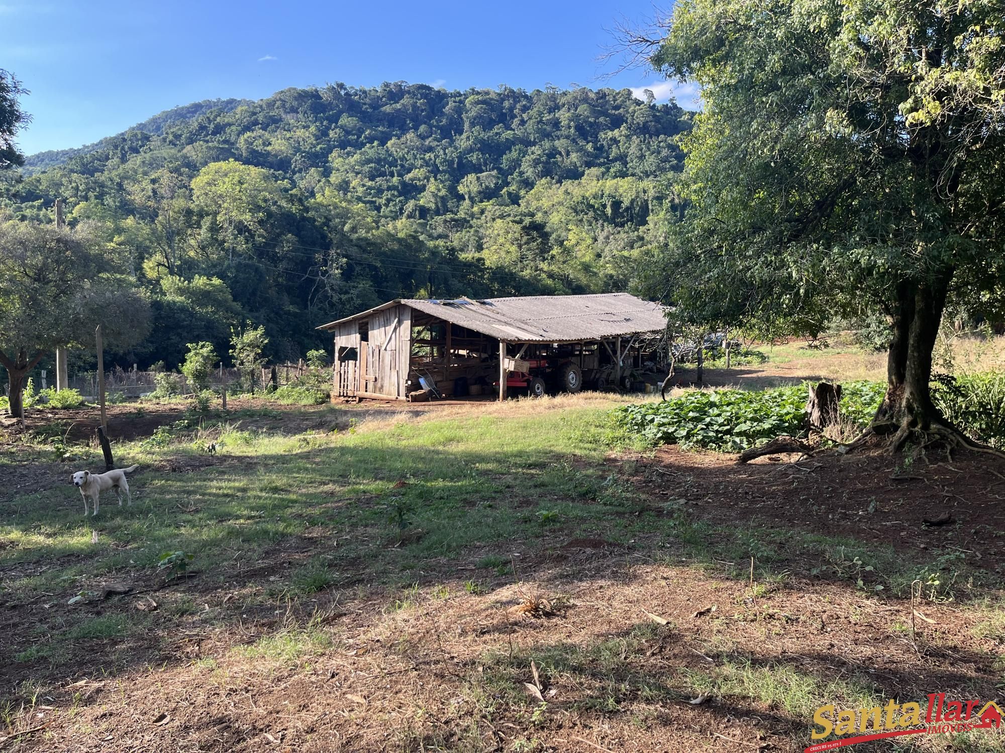 Fazenda à venda com 2 quartos, 96000m² - Foto 11