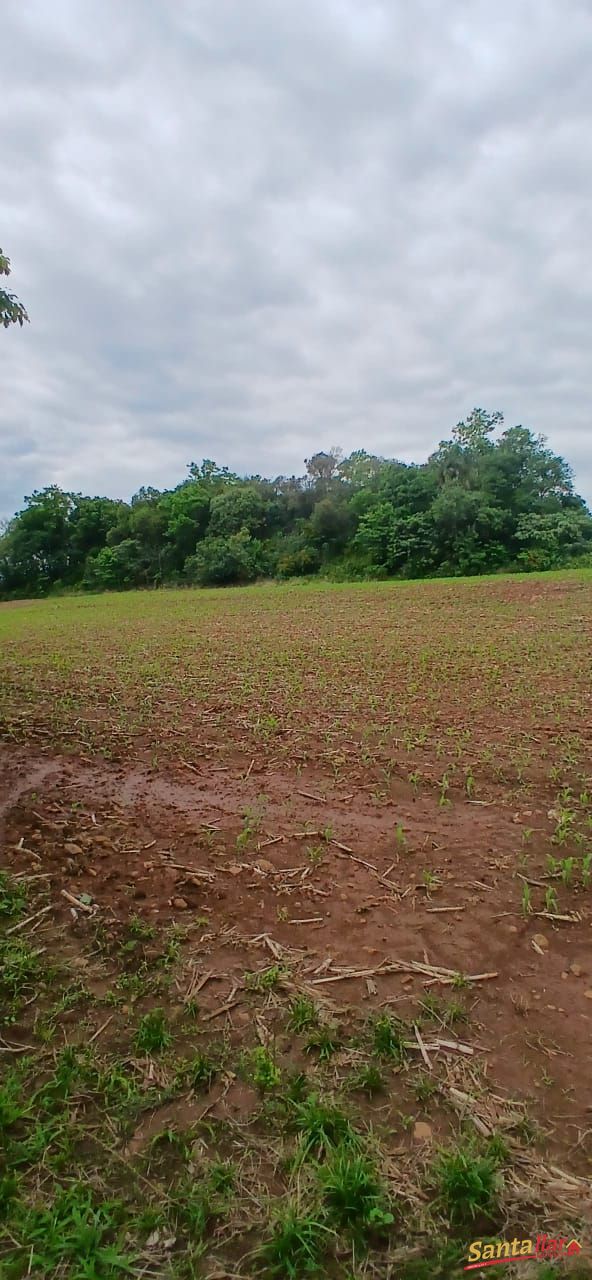 Sítio, 7 hectares - Foto 11