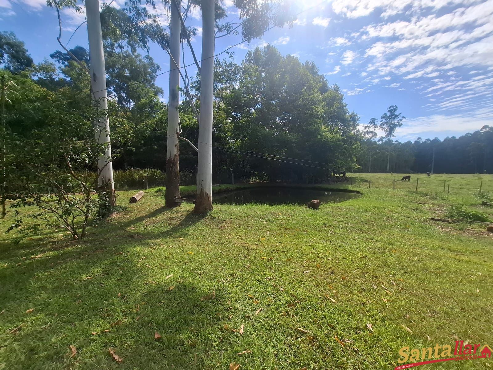 Sítio, 2 quartos, 2 hectares - Foto 14