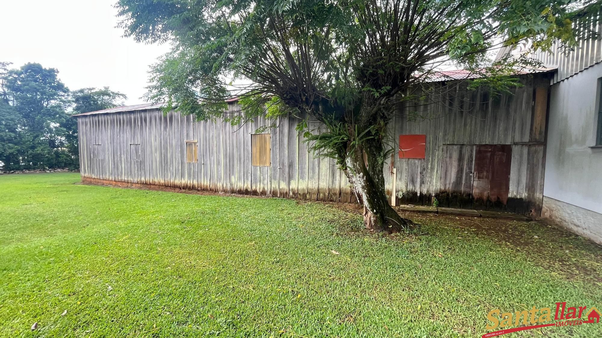 Chácara, 4 quartos, 10000 m² - Foto 15