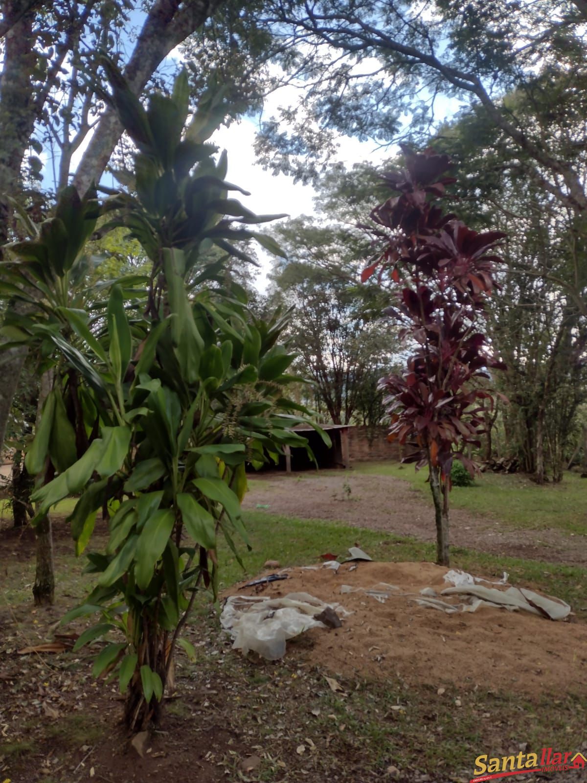 Fazenda à venda com 3 quartos, 10000m² - Foto 13