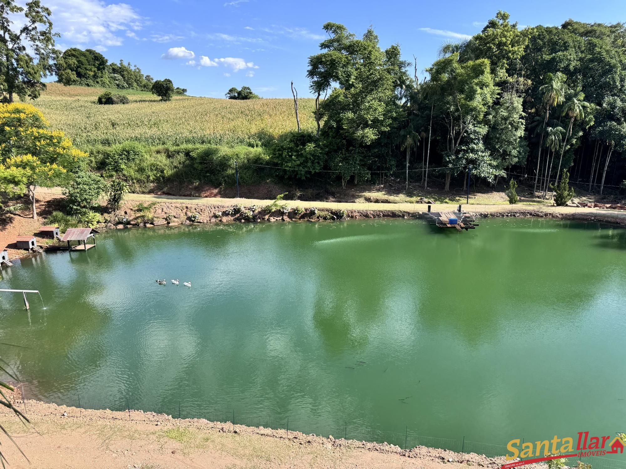 Sítio, 3 quartos, 4 hectares - Foto 26