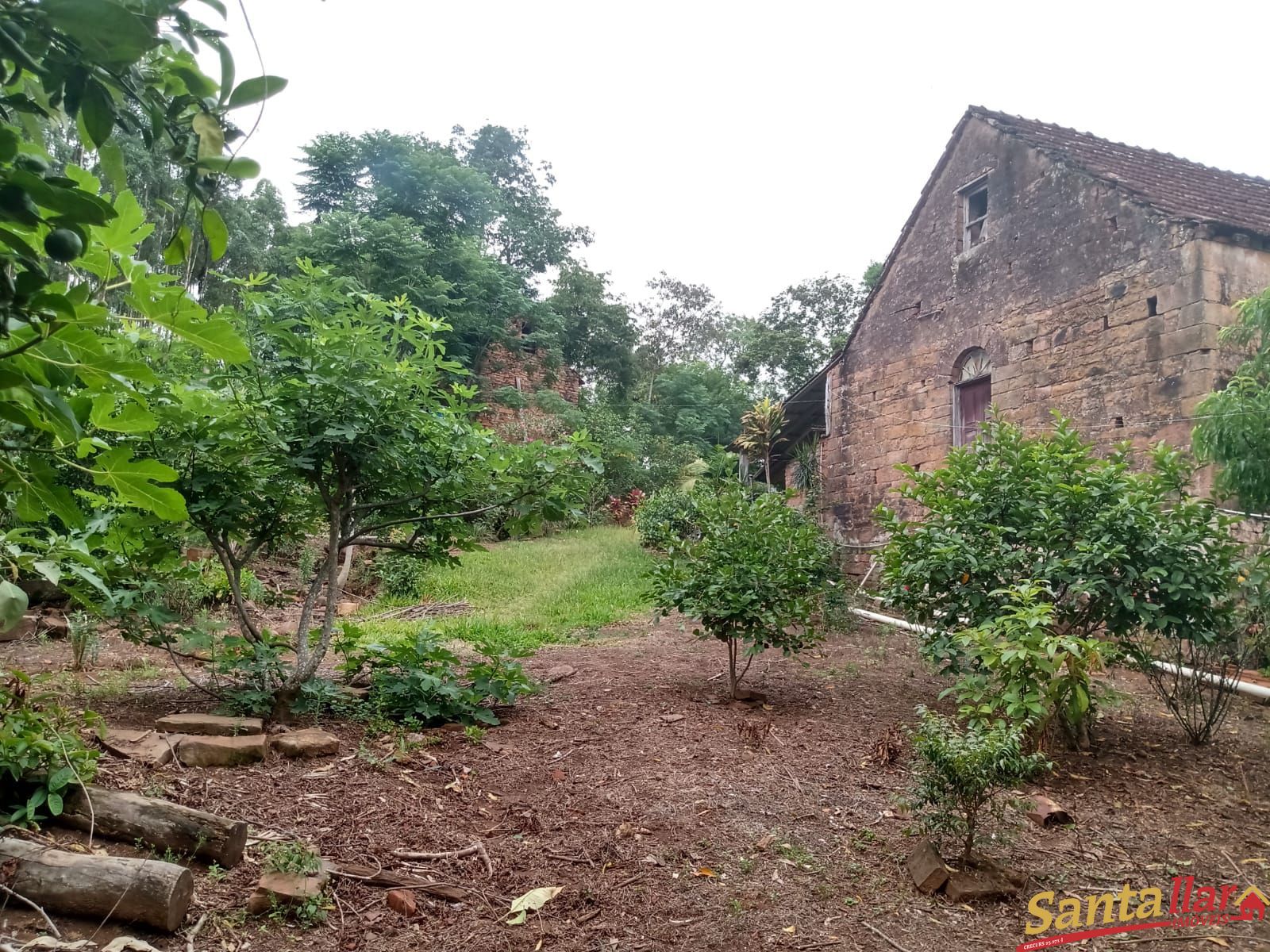 Fazenda à venda com 3 quartos, 80m² - Foto 4