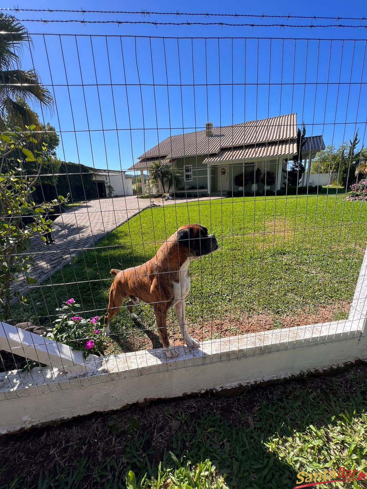 Fazenda à venda com 3 quartos, 188m² - Foto 15