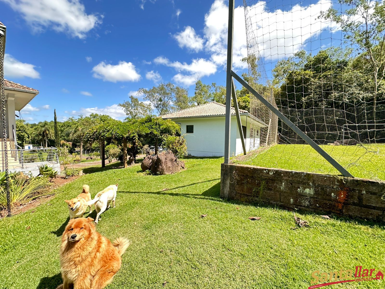 Chácara, 4 quartos, 9688 m² - Foto 26