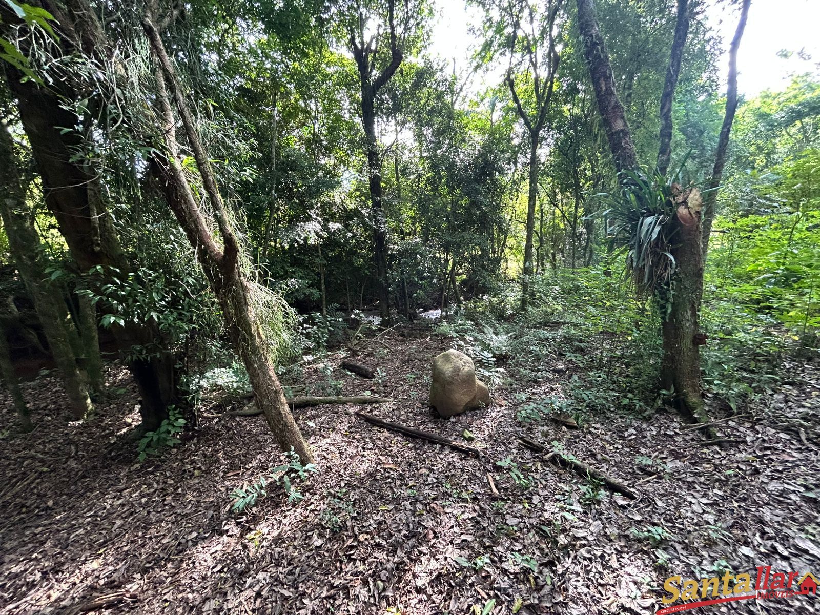 Chácara, 1 quarto, 6000 m² - Foto 17