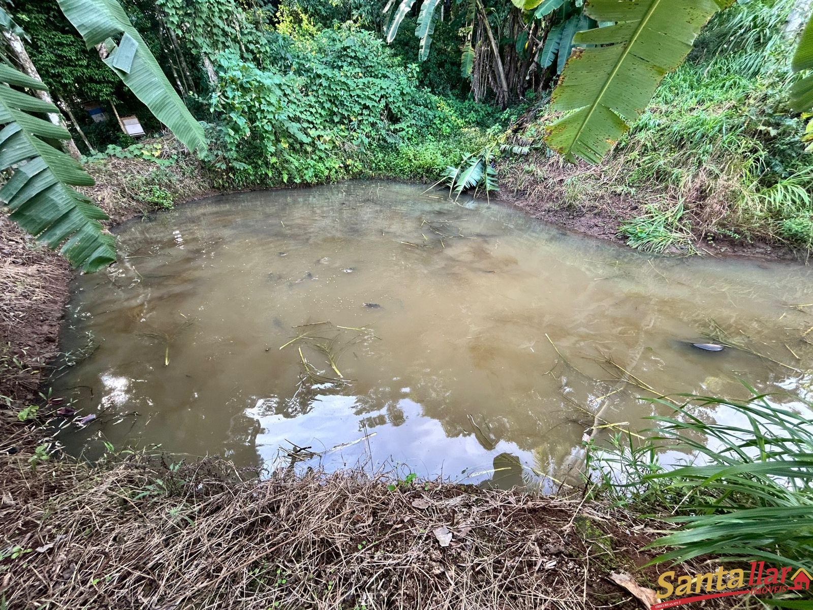 Chácara, 1 quarto, 6000 m² - Foto 25