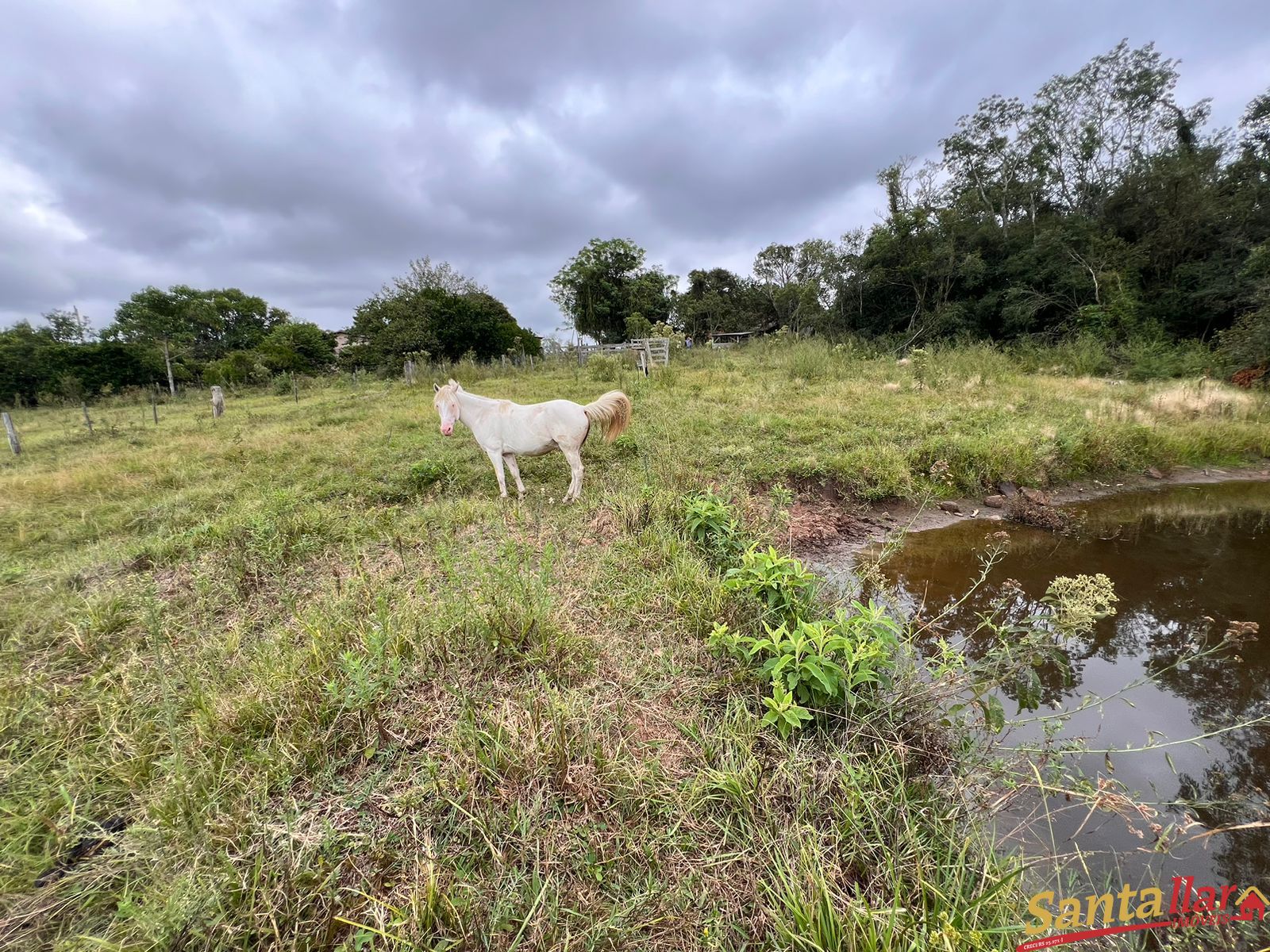 Chácara, 4 quartos, 2720 m² - Foto 13