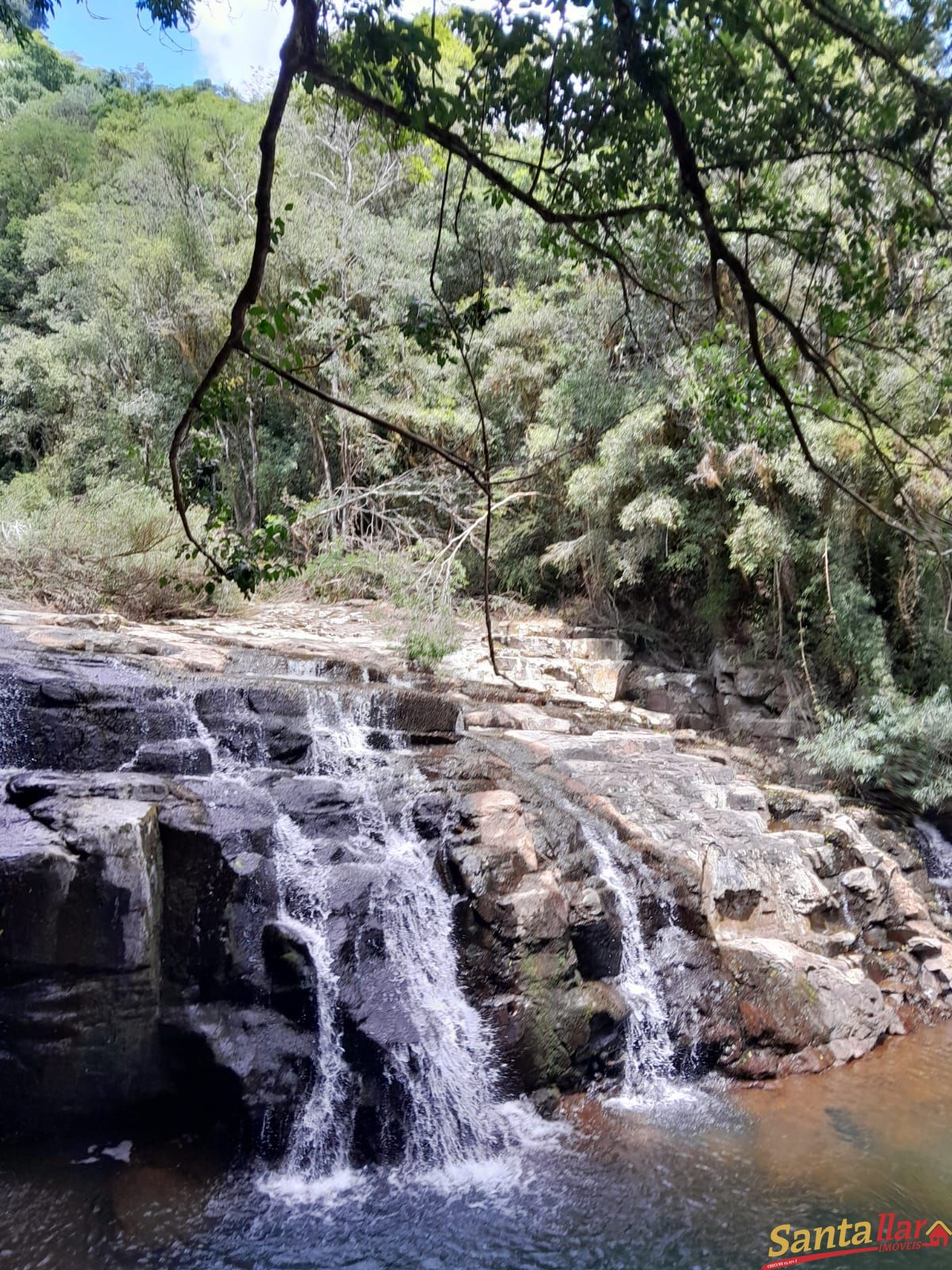 Fazenda à venda, 110000m² - Foto 3