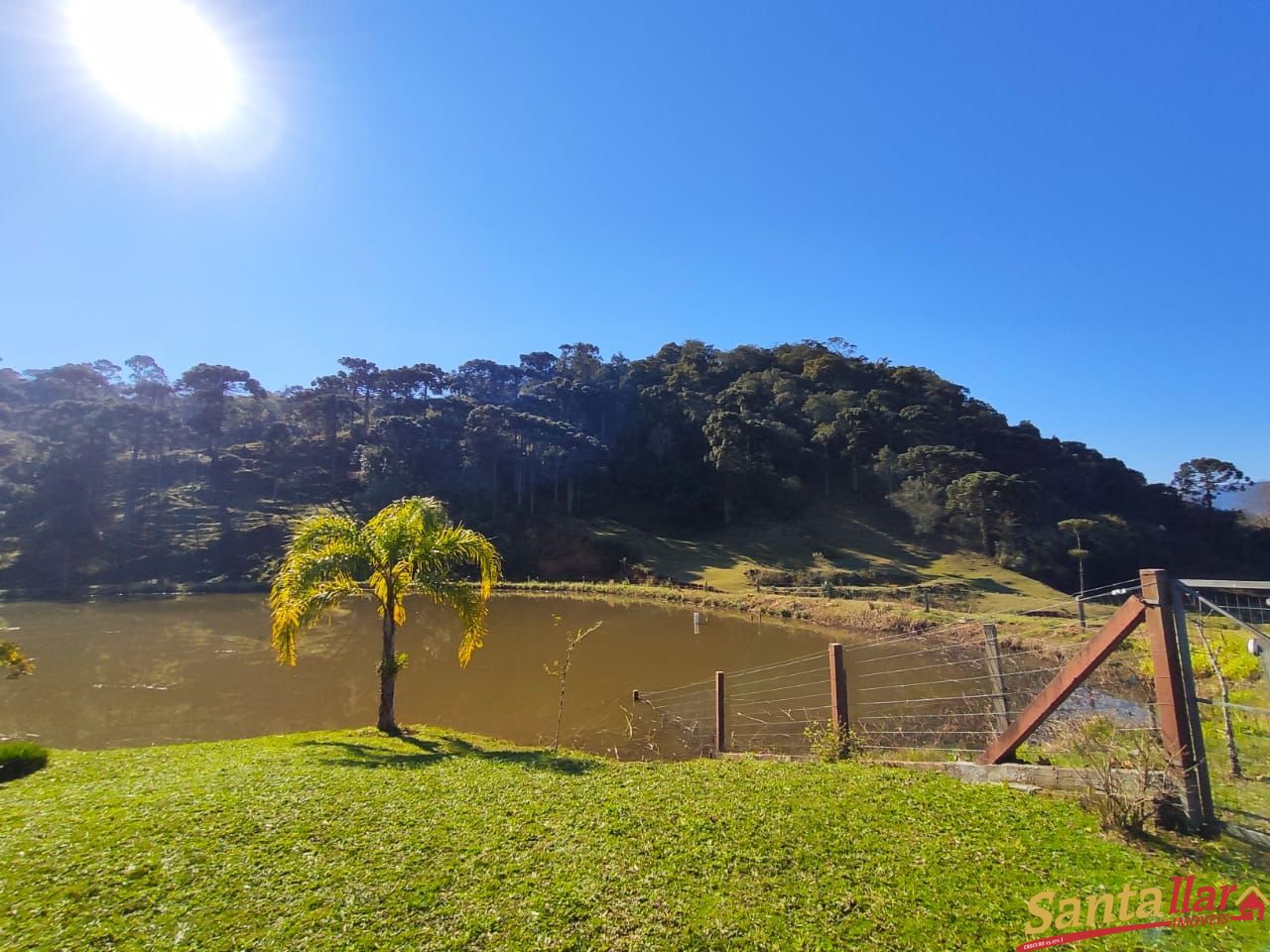 Fazenda à venda com 3 quartos, 29100m² - Foto 42