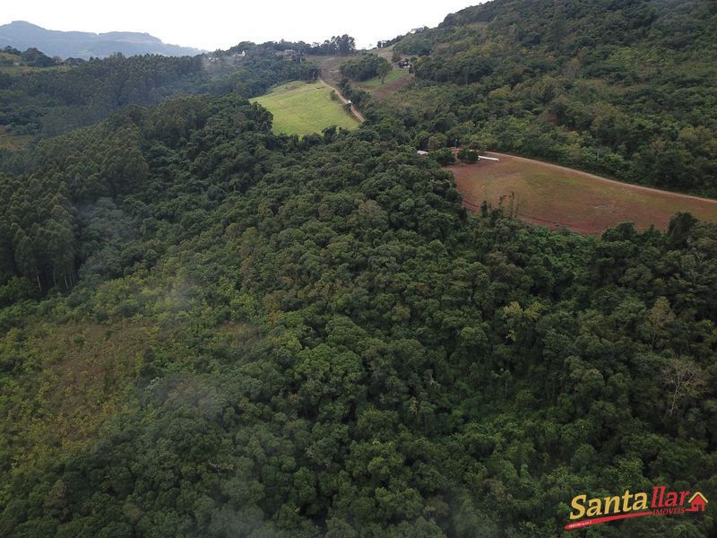 Chácara, 45 hectares - Foto 13
