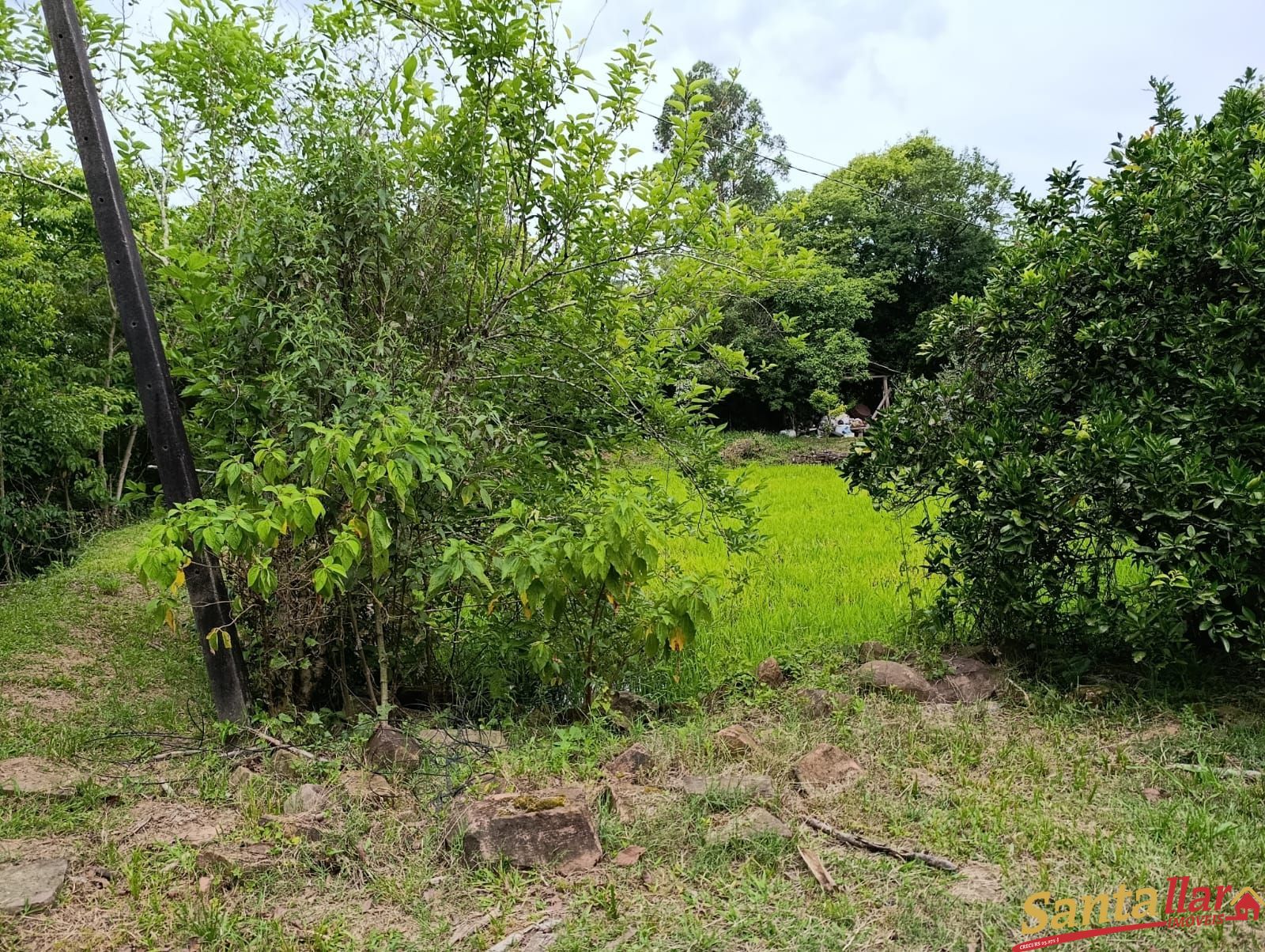 Sítio, 3 quartos, 3 hectares - Foto 11