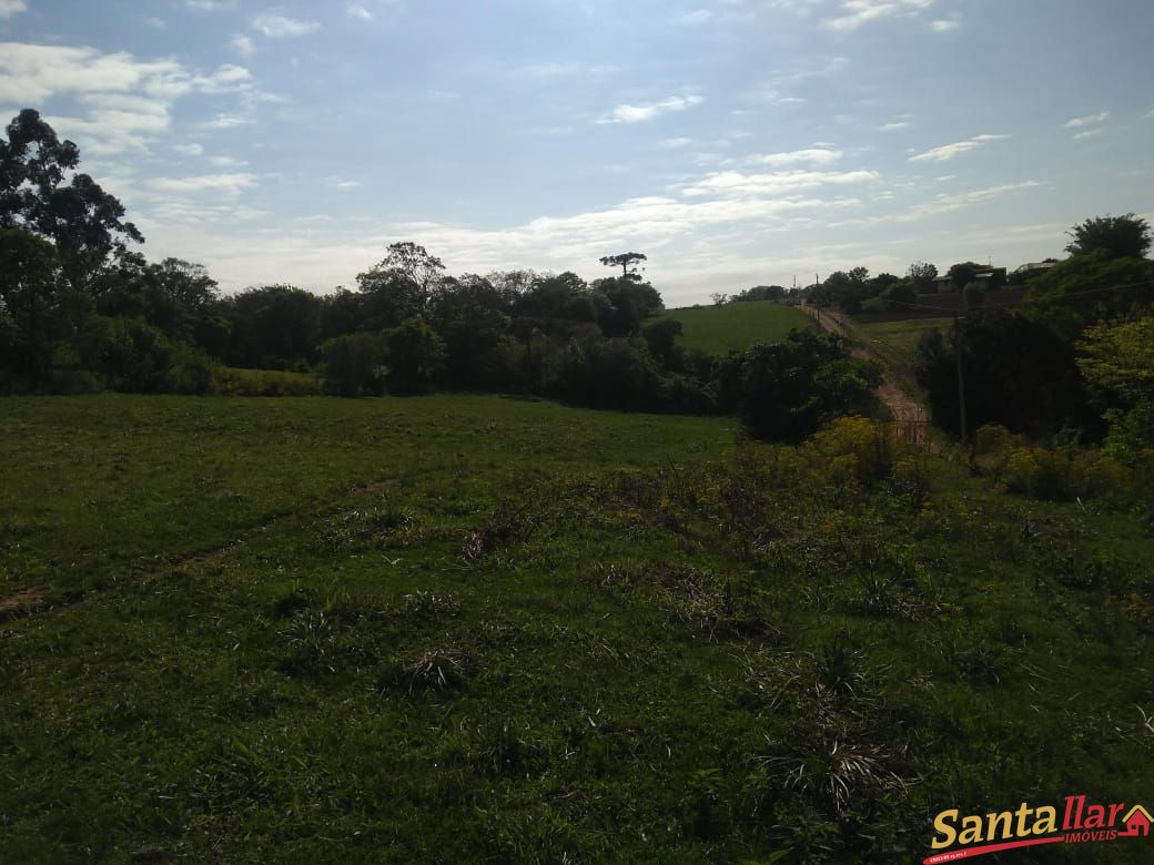 Fazenda à venda com 3 quartos, 833330000m² - Foto 20