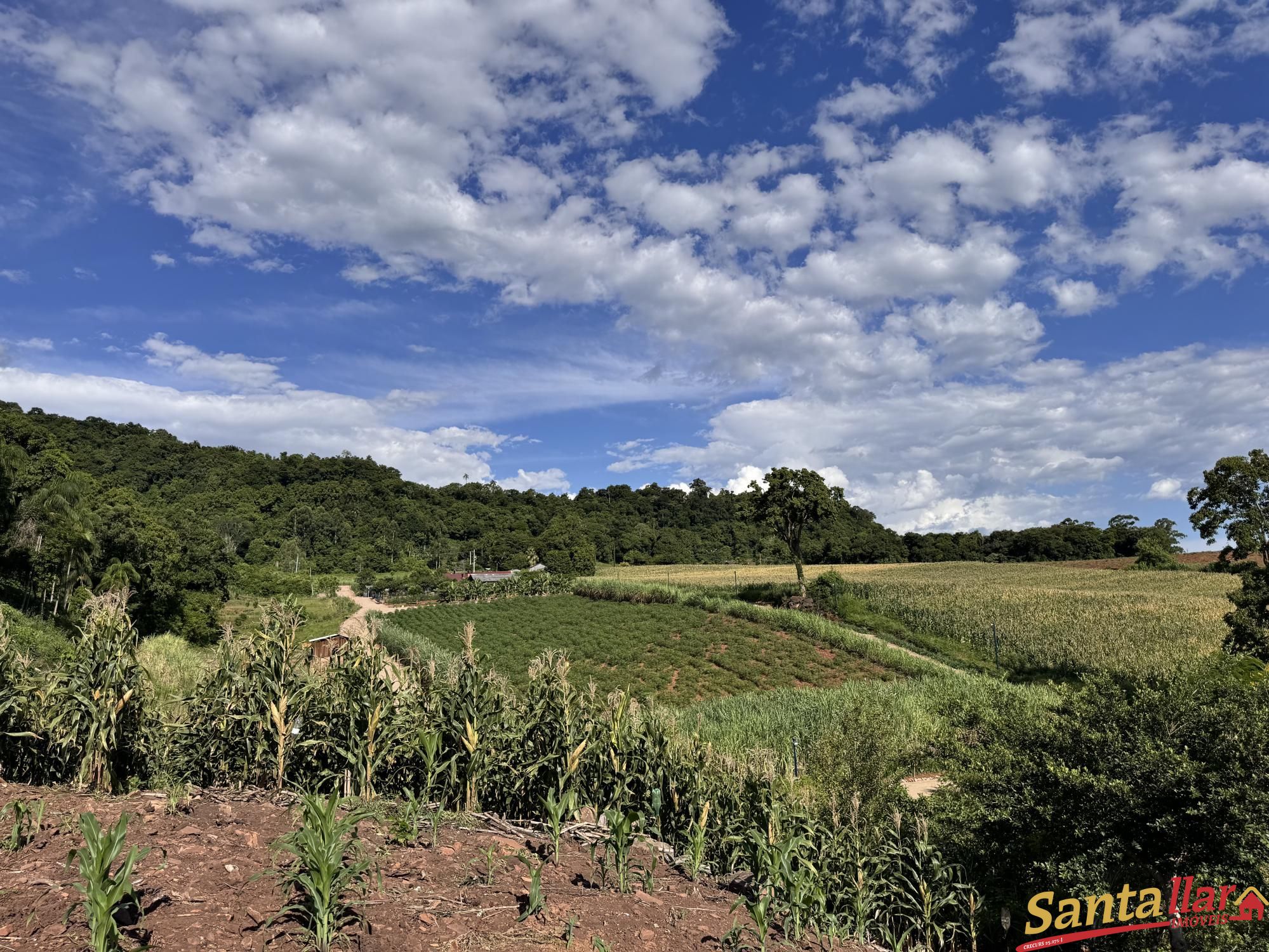 Sítio, 3 quartos, 4 hectares - Foto 27