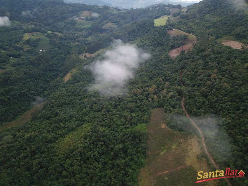 Chácara, 45 hectares - Foto 19