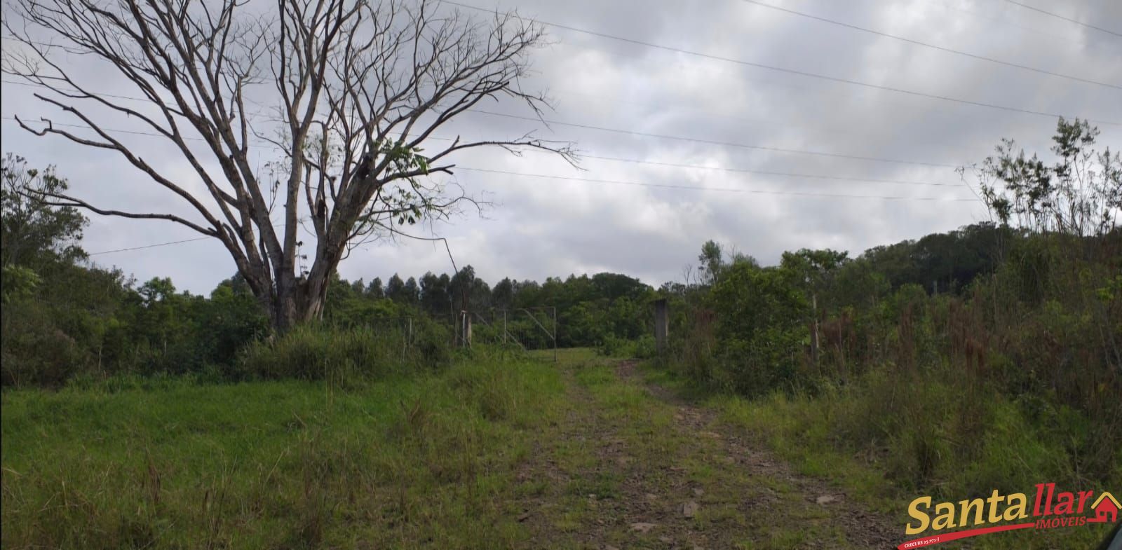 Fazenda à venda com 2 quartos, 400m² - Foto 7