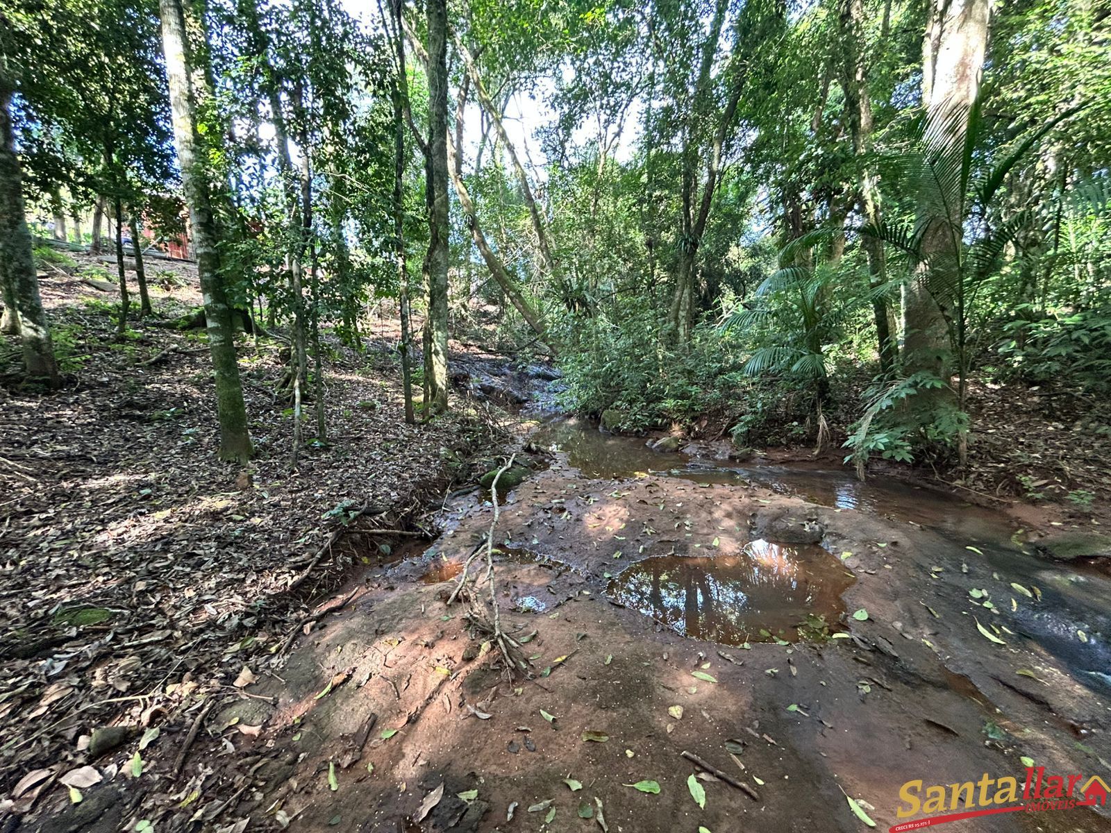 Chácara, 1 quarto, 6000 m² - Foto 18