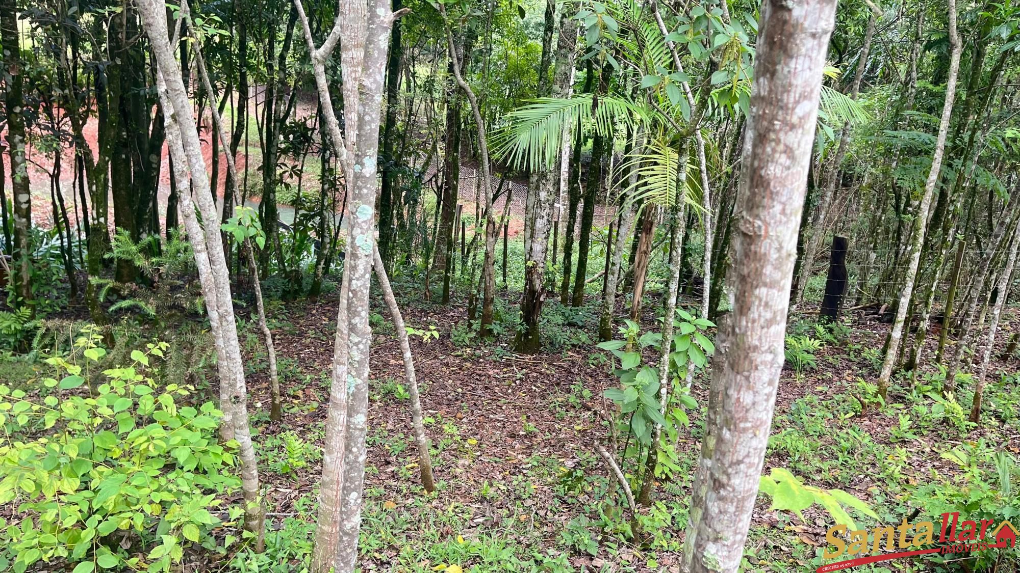 Chácara à venda com 2 quartos, 49m² - Foto 15