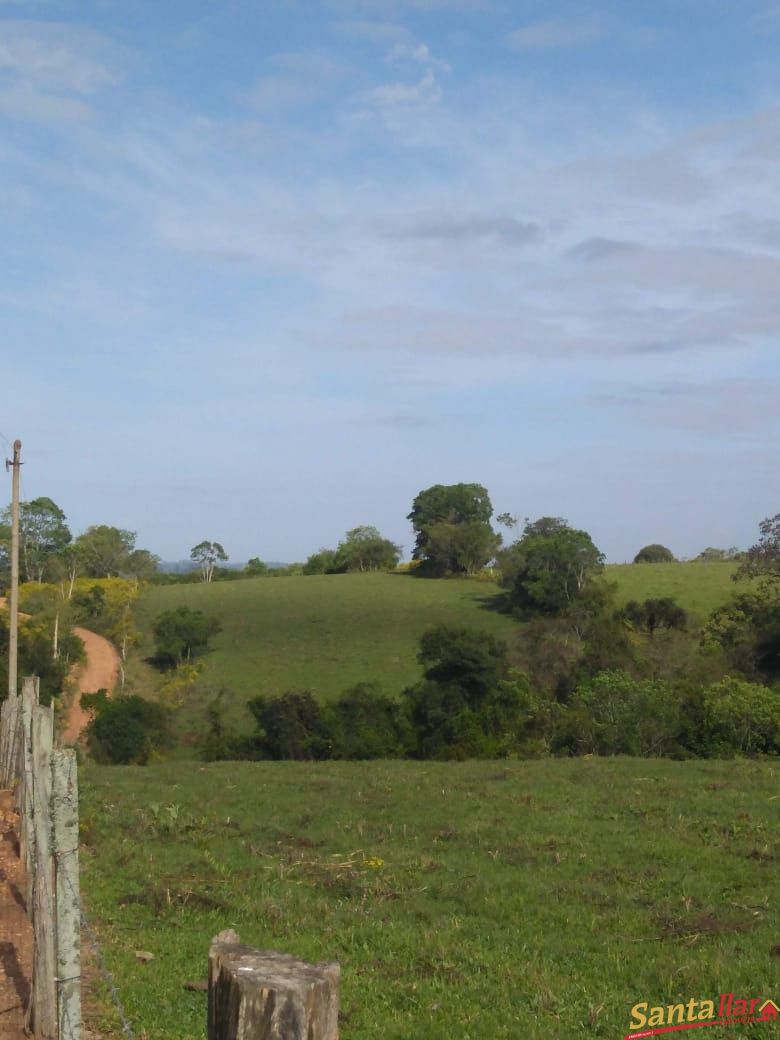 Fazenda à venda com 3 quartos, 833330000m² - Foto 13