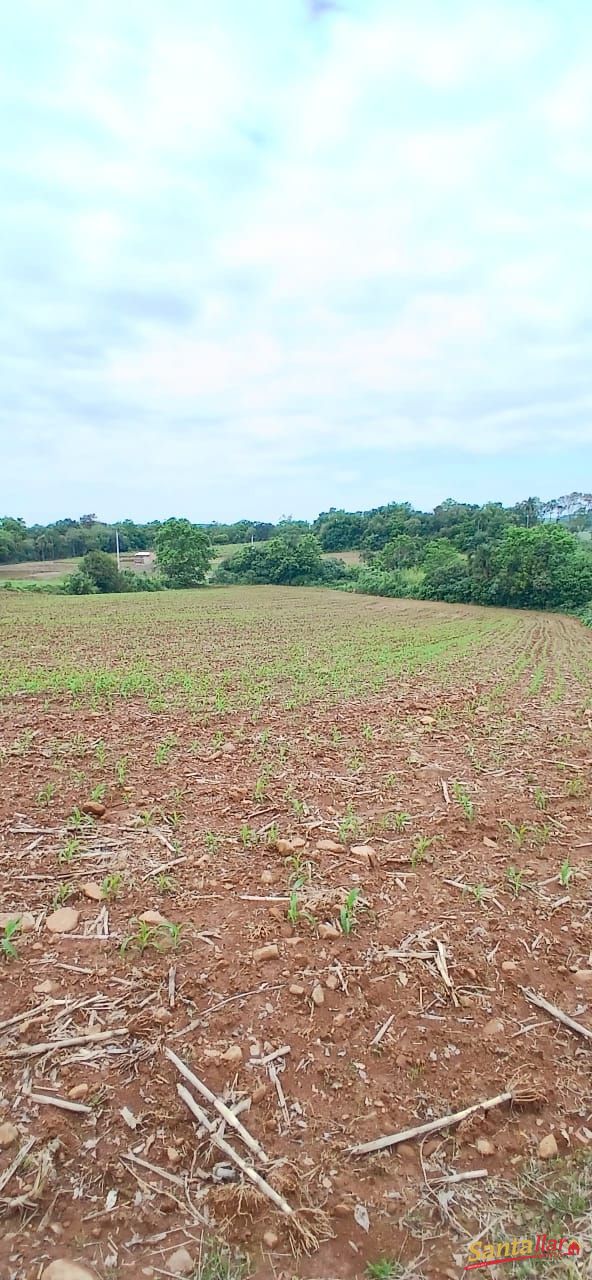 Sítio, 7 hectares - Foto 23